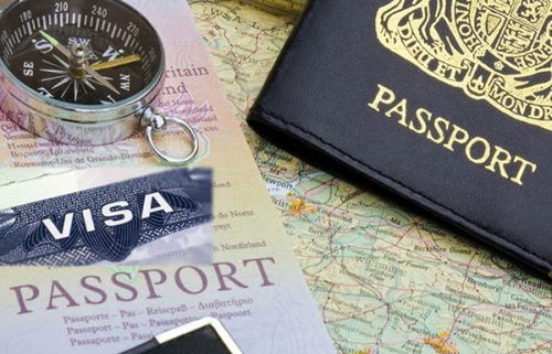 jasa penerjemah visa paspor